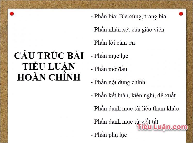 Cấu trúc bài tiểu luận hoàn chỉnh